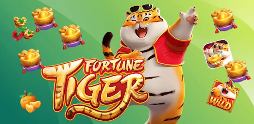 Live casino dealer tables streamed in real time on nustagame